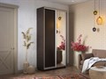 Шкаф-купе Экспресс (Зеркало, ЛДСП) 160/240/60 Ш1306