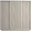 Шкаф-купе Экспресс (ЛДСП) 210/240/60 Ш1504