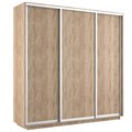 Шкаф-купе Экспресс (ЛДСП) 240/220/60 Ш1505