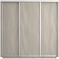 Шкаф-купе Экспресс (ЛДСП) 240/220/60 Ш1505
