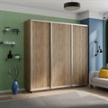 Шкаф-купе Экспресс (ЛДСП) 240/240/60 Ш1506 Шкаф-купе Экспресс (ЛДСП) 240/240/60 Ш1506