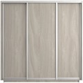 Шкаф-купе Экспресс (ЛДСП) 240/240/60 Ш1506 Шкаф-купе Экспресс (ЛДСП) 240/240/60 Ш1506