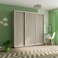 Шкаф-купе Экспресс (ЛДСП) 240/240/60 Ш1506 Шкаф-купе Экспресс (ЛДСП) 240/240/60 Ш1506