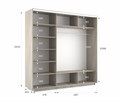 Шкаф-купе Экспресс (Зеркало, ЛДСП) 180/220/60 Ш1601