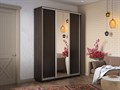 Шкаф-купе Экспресс (Зеркало, ЛДСП) 180/240/60 Ш1602
