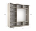 Шкаф-купе Экспресс (Зеркало, ЛДСП) 180/240/60 Ш1602