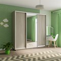 Шкаф-купе Экспресс (Зеркало, ЛДСП) 240/220/60 Ш1605