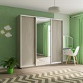 Шкаф-купе Экспресс (Зеркало, ЛДСП) 240/240/60 Ш1606