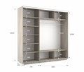Шкаф-купе Экспресс (Зеркало, ЛДСП) 240/240/60 Ш1606