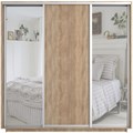 Шкаф-купе Экспресс (Зеркало-2, ЛДСП) 180/220/60 Ш1701