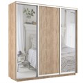 Шкаф-купе Экспресс (Зеркало-2, ЛДСП) 210/220/60 Ш1703