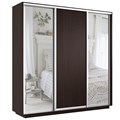 Шкаф-купе Экспресс (Зеркало-2, ЛДСП) 210/220/60 Ш1703