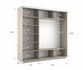 Шкаф-купе Экспресс (Зеркало-2, ЛДСП) 210/220/60 Ш1703