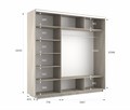 Шкаф-купе Экспресс (Зеркало-2, ЛДСП) 240/220/60 Ш1705