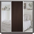 Шкаф-купе Экспресс (Зеркало-2, ЛДСП) 240/240/60 Ш1706 Шкаф-купе Экспресс (Зеркало-2, ЛДСП) 240/240/60 Ш1706