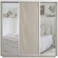 Шкаф-купе Экспресс (Зеркало-2, ЛДСП) 240/240/60 Ш1706 Шкаф-купе Экспресс (Зеркало-2, ЛДСП) 240/240/60 Ш1706