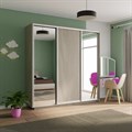 Шкаф-купе Экспресс (Зеркало-2, ЛДСП) 240/240/60 Ш1706 Шкаф-купе Экспресс (Зеркало-2, ЛДСП) 240/240/60 Ш1706