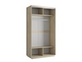 Шкаф-купе Экспресс Хит (Зеркало, ЛДСП) 120/220/60 Ш1122