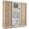 Шкаф-купе Экспресс (Зеркало, ЛДСП) 180/220/45 Ш1751