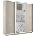 Шкаф-купе Экспресс (Зеркало, ЛДСП) 240/240/45 Ш1756