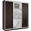 Шкаф-купе Экспресс (Зеркало, ЛДСП) 240/240/45 Ш1756