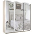 Шкаф-купе Экспресс (Зеркало) 210/220/45 Ш1953