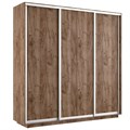 Шкаф-купе Лофт (ЛДСП) 210/220/60 Ш2053