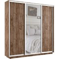 Шкаф-купе Лофт (Зеркало, ЛДСП) 240/220/45 Ш2455