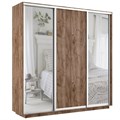 Шкаф-купе Лофт (Зеркало-2, ЛДСП) 210/240/60 Ш2254