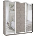 Шкаф-купе Лофт (Зеркало-2, ЛДСП) 240/220/45 Ш2655