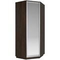 Угловой шкаф Экспресс (Зеркало) 90/90/220 У1001