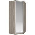 Угловой шкаф Экспресс (Зеркало) 90/90/220 У1001