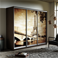 Шкаф-купе Трио 2100/2400/600 (Фотопечать Париж) Ш211 Шкаф-купе Трио 2100/2400/600 (Фотопечать Париж) Ш211