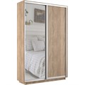 Шкаф-купе Экспресс (Зеркало, ЛДСП) 120/240/45 Ш1102