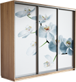 Шкаф-купе Трио 1800/2400/450 (Фотопечать Орхидея) 2545 Шкаф-купе Трио 1800/2400/450 (Фотопечать Орхидея) 2545