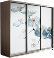 Шкаф-купе Трио 2100/2400/450 (Фотопечать Орхидея) 2553 Шкаф-купе Трио 2100/2400/450 (Фотопечать Орхидея) 2553