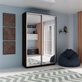 Шкаф-купе Экспресс (Зеркало) 140/220/45 Ш1203