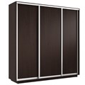Шкаф-купе Экспресс (ЛДСП) 240/220/60 Ш1505