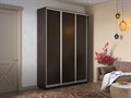 Шкаф-купе Экспресс (ЛДСП) 240/240/60 Ш1506 Шкаф-купе Экспресс (ЛДСП) 240/240/60 Ш1506