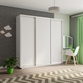 Шкаф-купе Экспресс (ЛДСП) 240/240/60 Ш1506 Шкаф-купе Экспресс (ЛДСП) 240/240/60 Ш1506