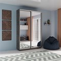 Шкаф-купе Лофт (Зеркало) 120/220/45 Ш1551