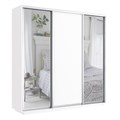 Шкаф-купе Экспресс (Зеркало-2, ЛДСП) 240/240/60 Ш1706 Шкаф-купе Экспресс (Зеркало-2, ЛДСП) 240/240/60 Ш1706