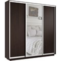 Шкаф-купе Экспресс (Зеркало, ЛДСП) 210/220/45 Ш1753