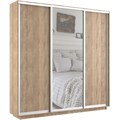 Шкаф-купе Экспресс (Зеркало, ЛДСП) 210/220/45 Ш1753