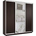 Шкаф-купе Экспресс (Зеркало, ЛДСП) 210/240/45 Ш1754