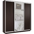 Шкаф-купе Экспресс (Зеркало, ЛДСП) 240/220/45 Ш1755