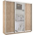 Шкаф-купе Экспресс (Зеркало, ЛДСП) 240/240/45 Ш1756