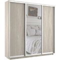 Шкаф-купе Экспресс (Зеркало, ЛДСП) 240/240/45 Ш1756