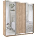 Шкаф-купе Экспресс (Зеркало-2, ЛДСП) 180/240/45 Ш1852