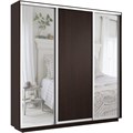 Шкаф-купе Экспресс (Зеркало-2, ЛДСП) 210/240/45 Ш1854